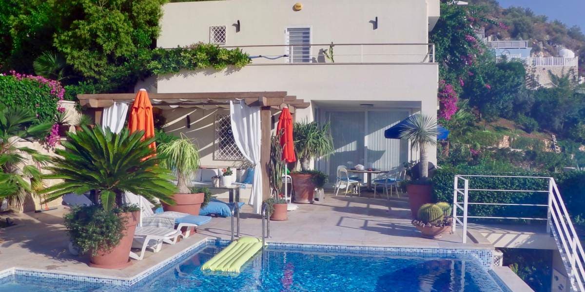 The Palms, image 5