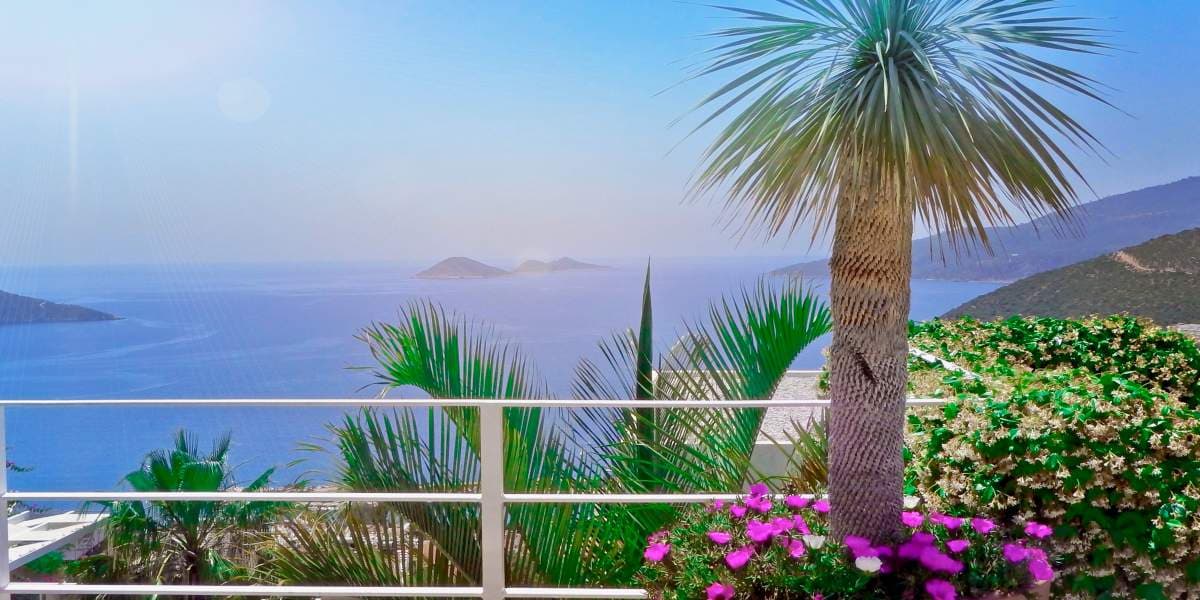 The Palms, image 2